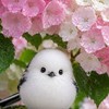 精神障害者(メンタル)雑談ROOM  ☆☆☆知的障害や身体障害さん可能です。