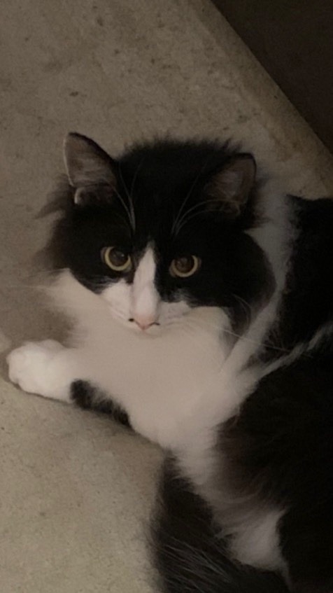 💐🥇のオープンチャット