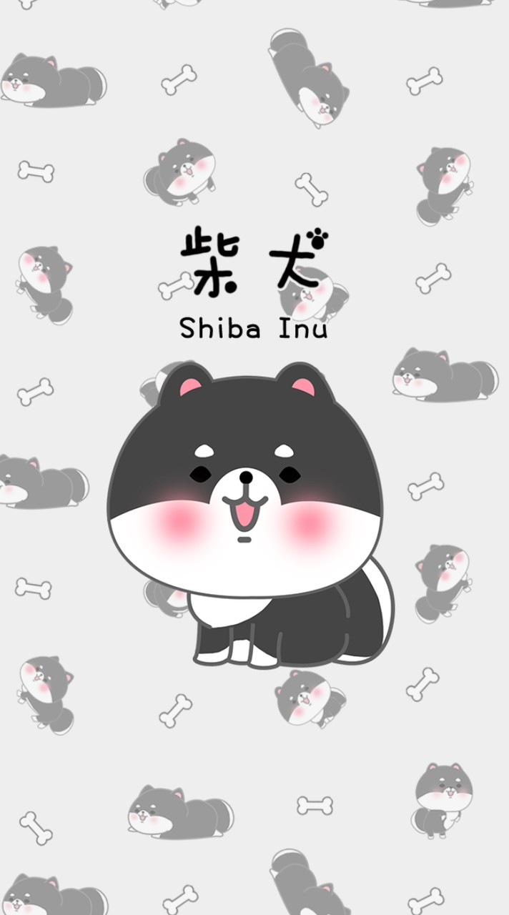柴寶聊天室