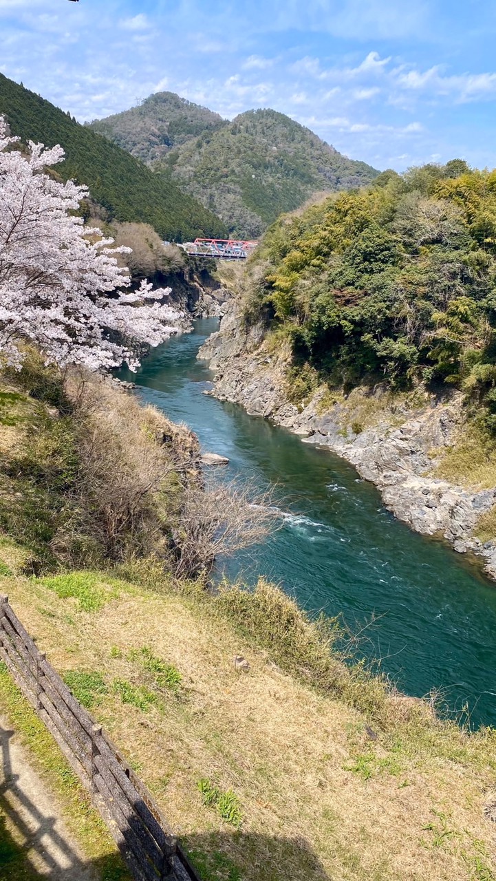 愛知県 岐阜県 静岡県 三重県ビックスクーター（ビクスク） バイク ツーリング仲間募集(^^)