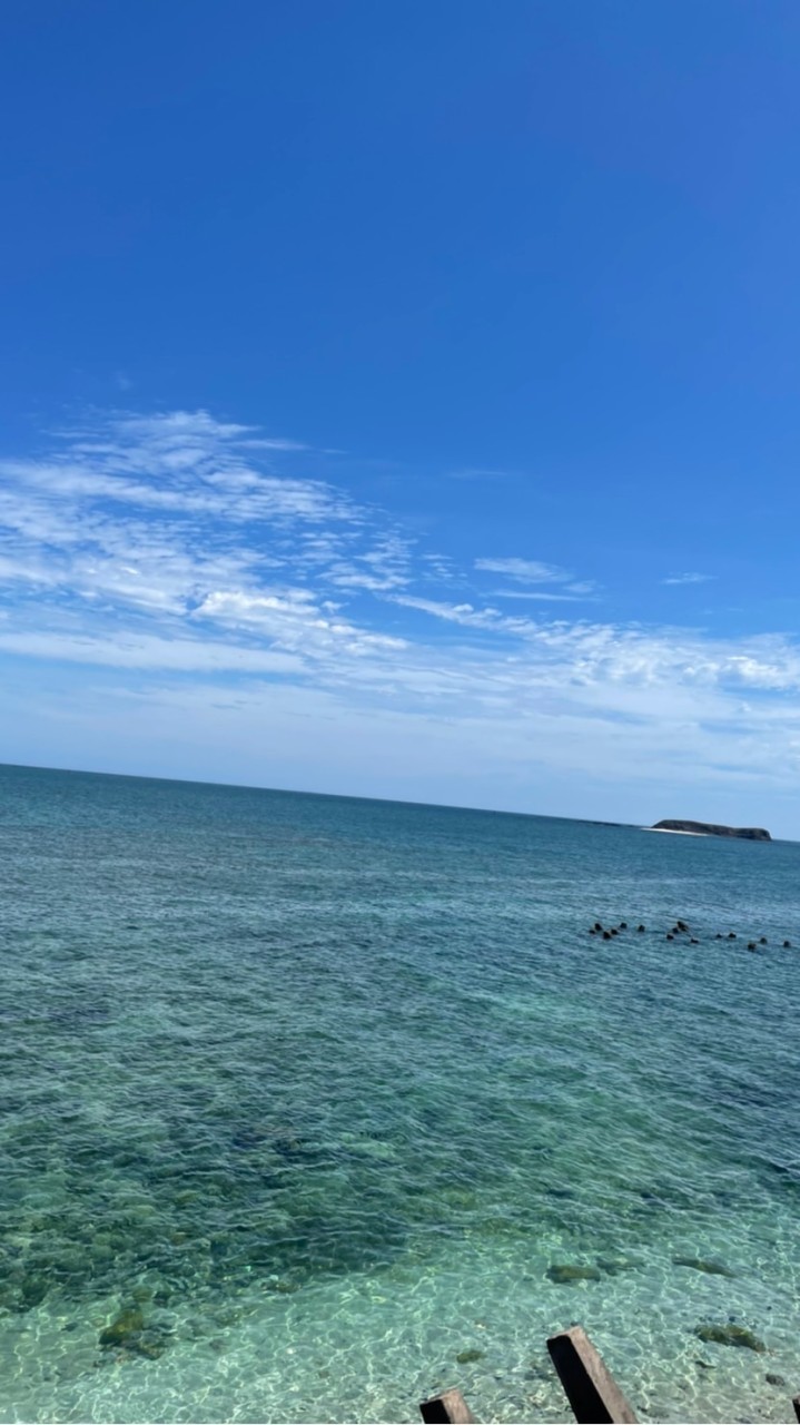 北平阿寶寶