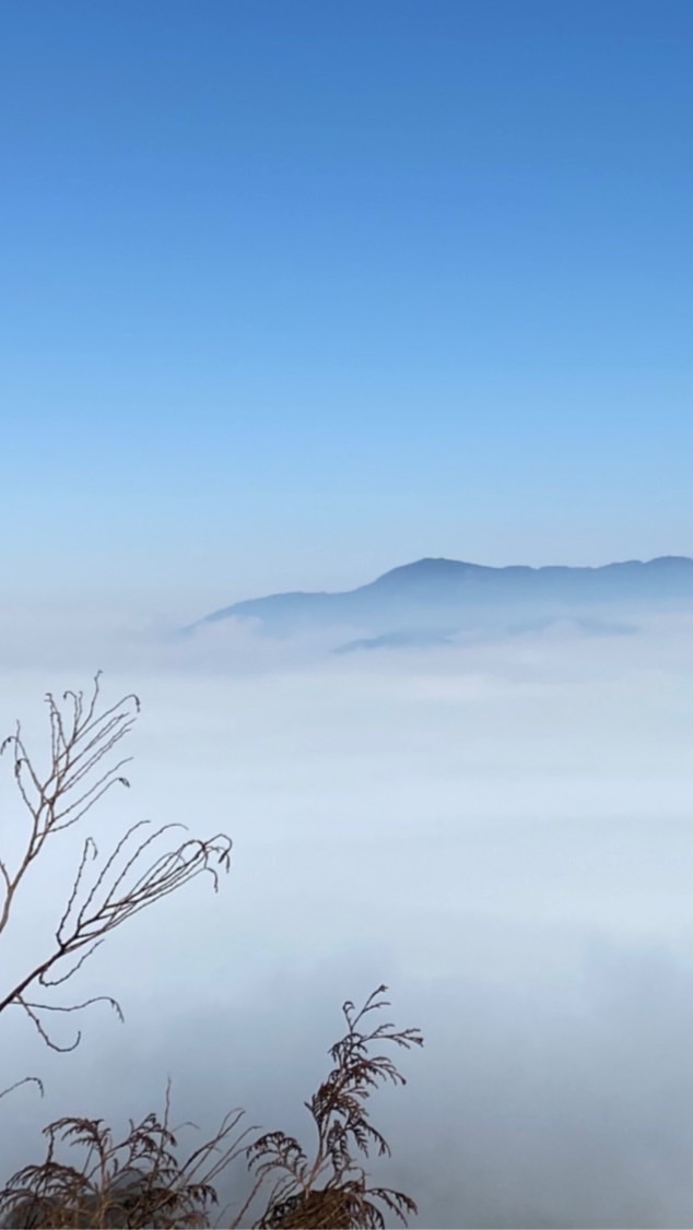 阿黑哥寶島遊