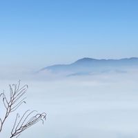 阿黑哥寶島遊
