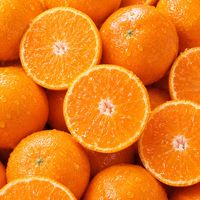 🍊独身限定ROOM🍊30代 40代 50代 60代 🍊楽しい雑談andライブトーク🍊オフ会🍊
