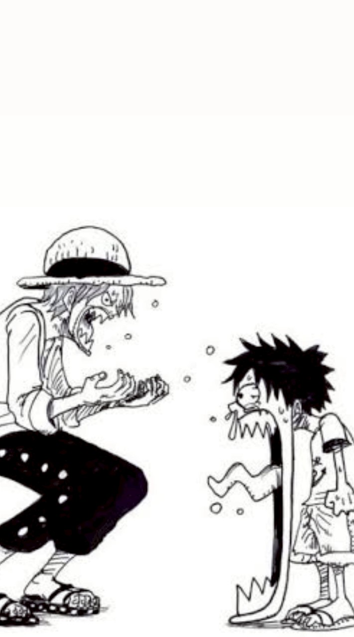 ワンピース好きな人集まれ〜