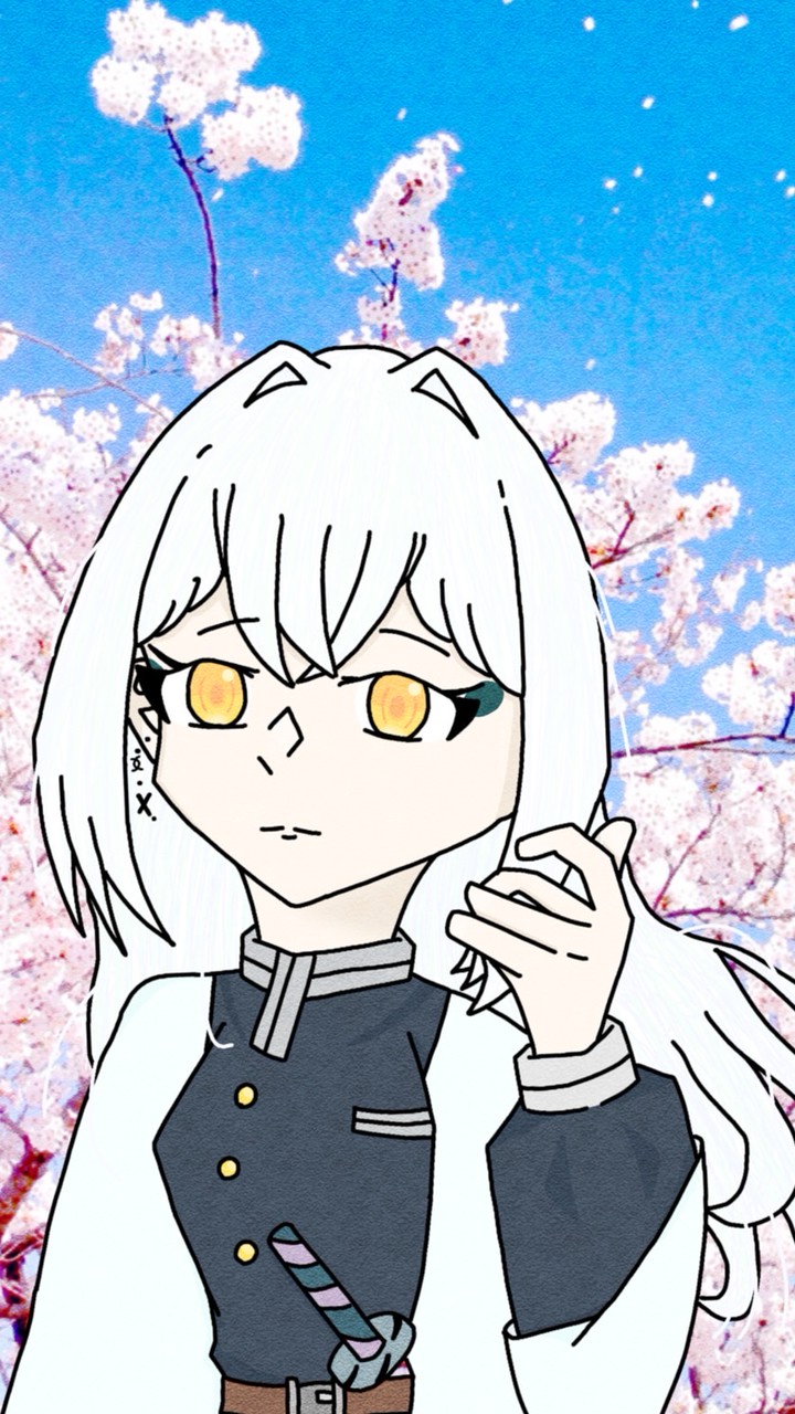 るかのファンオプ