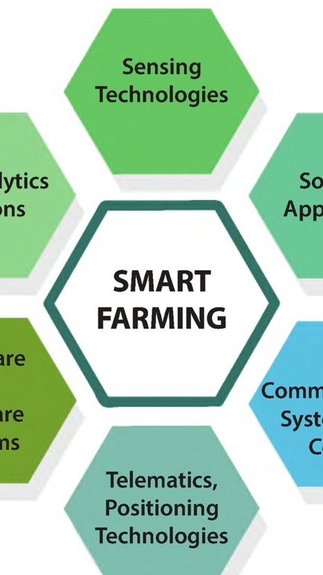 ออกแบบติดตั้งระบบ Smart security & Smart farming