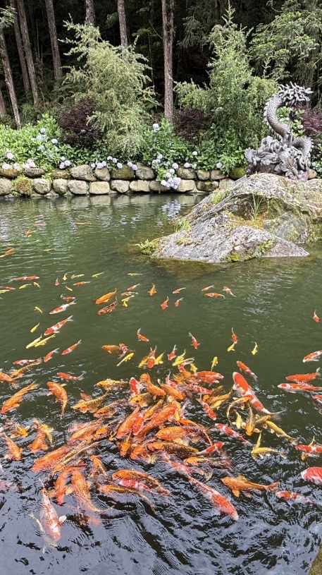 未知探索之旅
