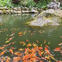 未知探索之旅