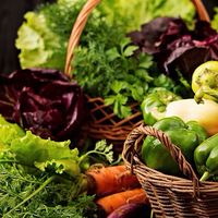 ผักสดเกษตรพรหมพิราม🍅🥦