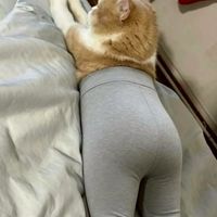 便利屋コミュニティ【45歳以上のおじさん限定】おじいさんもOK
