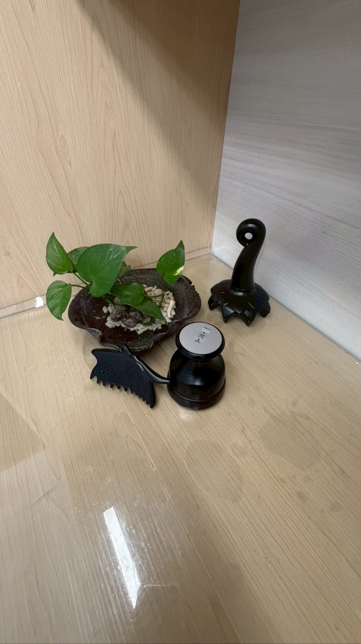 絨妍遠紅外線熱能理療