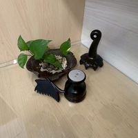 絨妍遠紅外線熱能理療