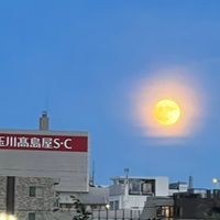ＤＩＹ＆リフォーム　なんでもトーク＆相談室
