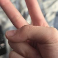 暇な人おいでー