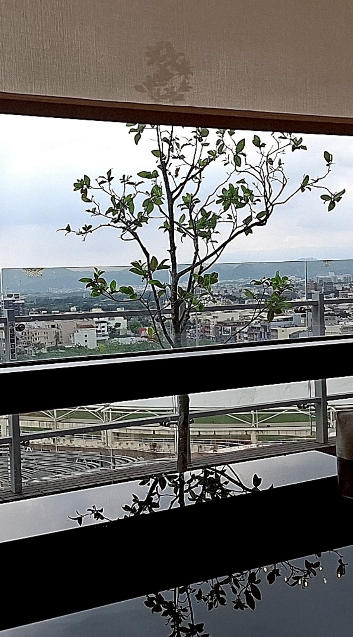 123開心亂聊