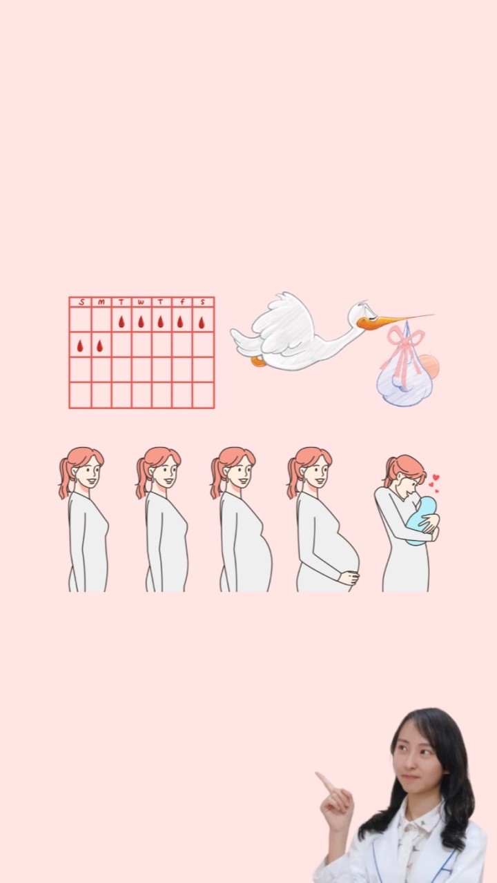 女子養宮備孕園地｜護理師茶茶