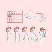 女子養宮備孕園地｜護理師茶茶
