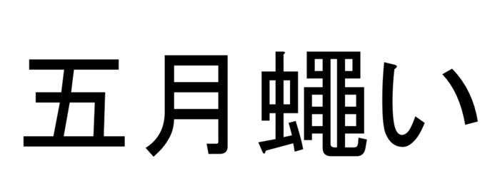 五月蠅い って読める 読めない 読みたい漢字ファイル Vol 37