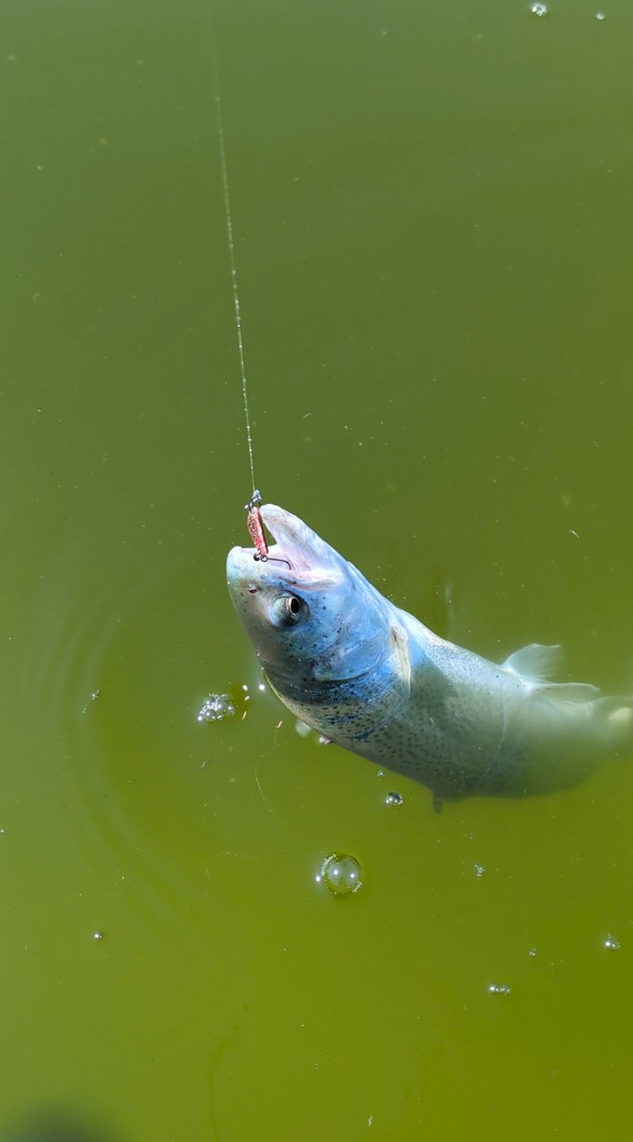 (日芸)釣会　Fishing Club