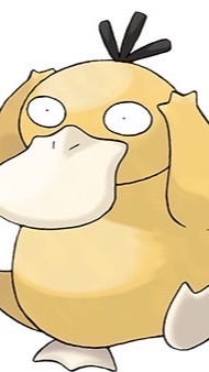 コダック教