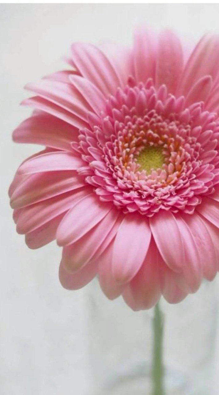 115上北區花藝會場與植栽實作班報名社群