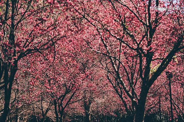 （圖片來源／IG @gabriel.hsieh）