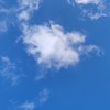 生理快適に過ごしたい人ーおいで