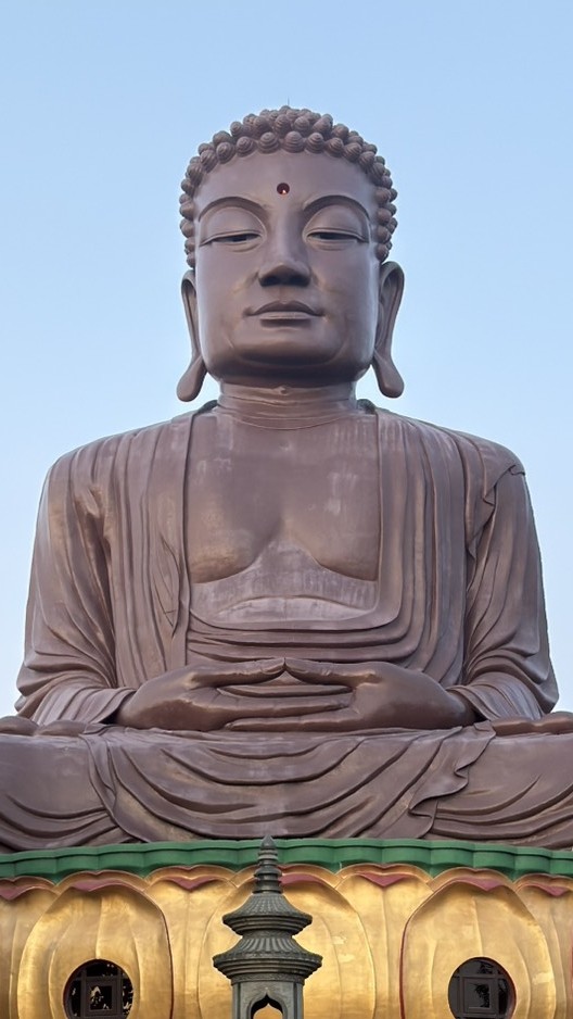 小狗會