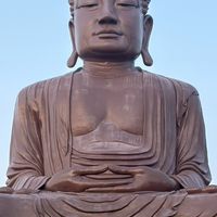 小狗會