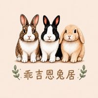乖吉恩兔居