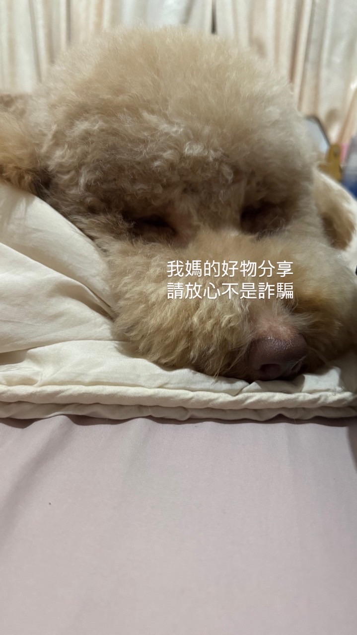 蕭蕭🌈好物推薦