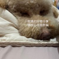 蕭蕭🌈好物推薦