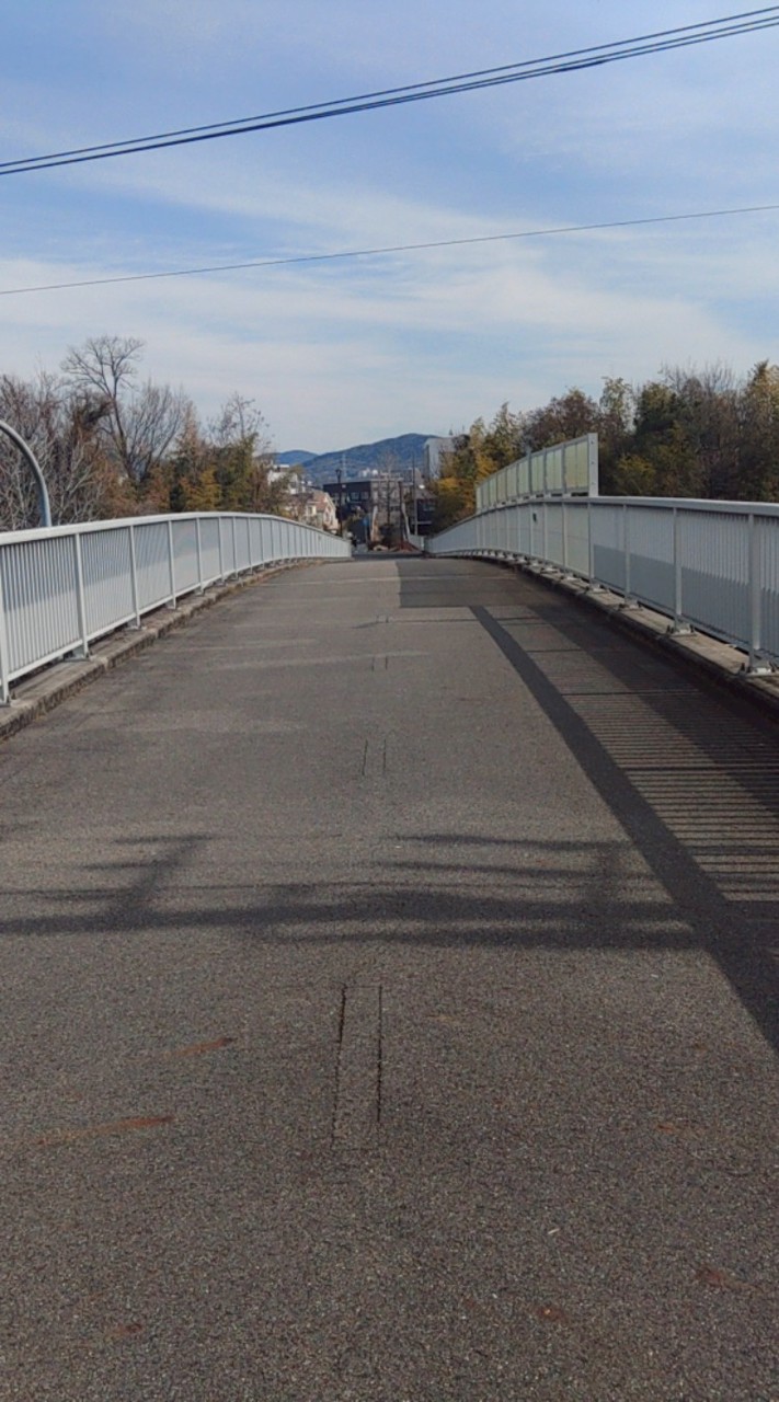 きっこ・しだみ遊歩道マラソン