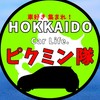 【北海道の車好き】ピクミン隊
