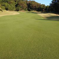 関東🌻ゴルフ⛳️大好き❤交流部屋