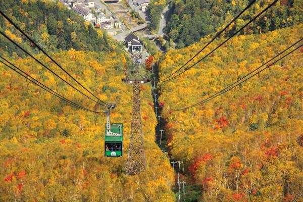 北海道賞楓 從市中心到野外秘境 必去紅葉景點大全集 Compathy Magazine Line Today