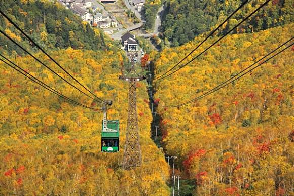 北海道賞楓 從市中心到野外秘境 必去紅葉景點大全集 Compathy Magazine Line Today