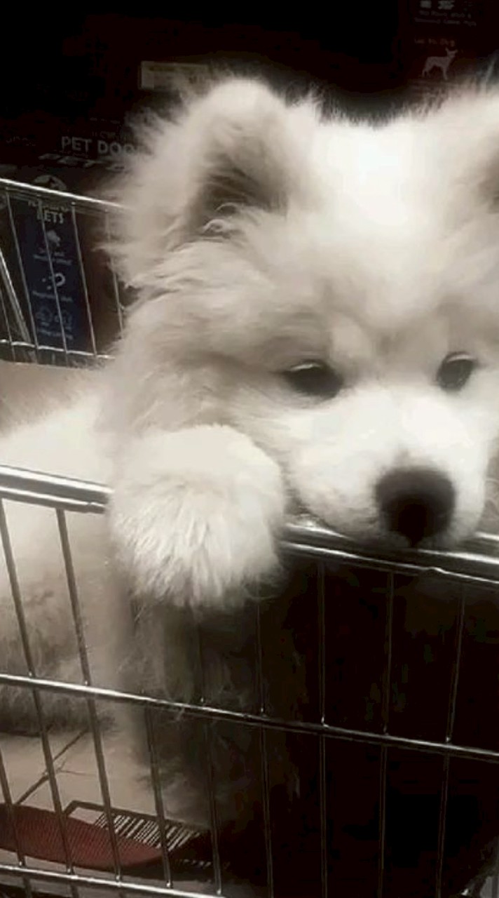 🌕คุยเล่น/หาเพื่อน/หาแฟน/คุยเล่น🌕