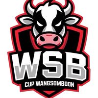 WSBHOSPITAL-TH
