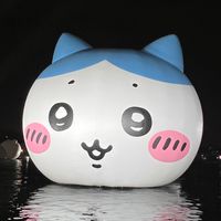 大金談股論金