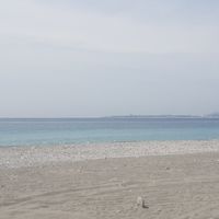 一起努力加油吧~