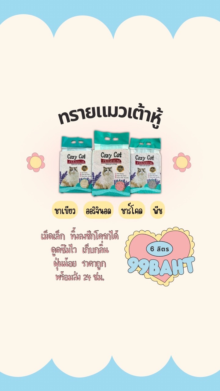 ทรายแมว พร้อมส่ง มหิดล ศาลายา
