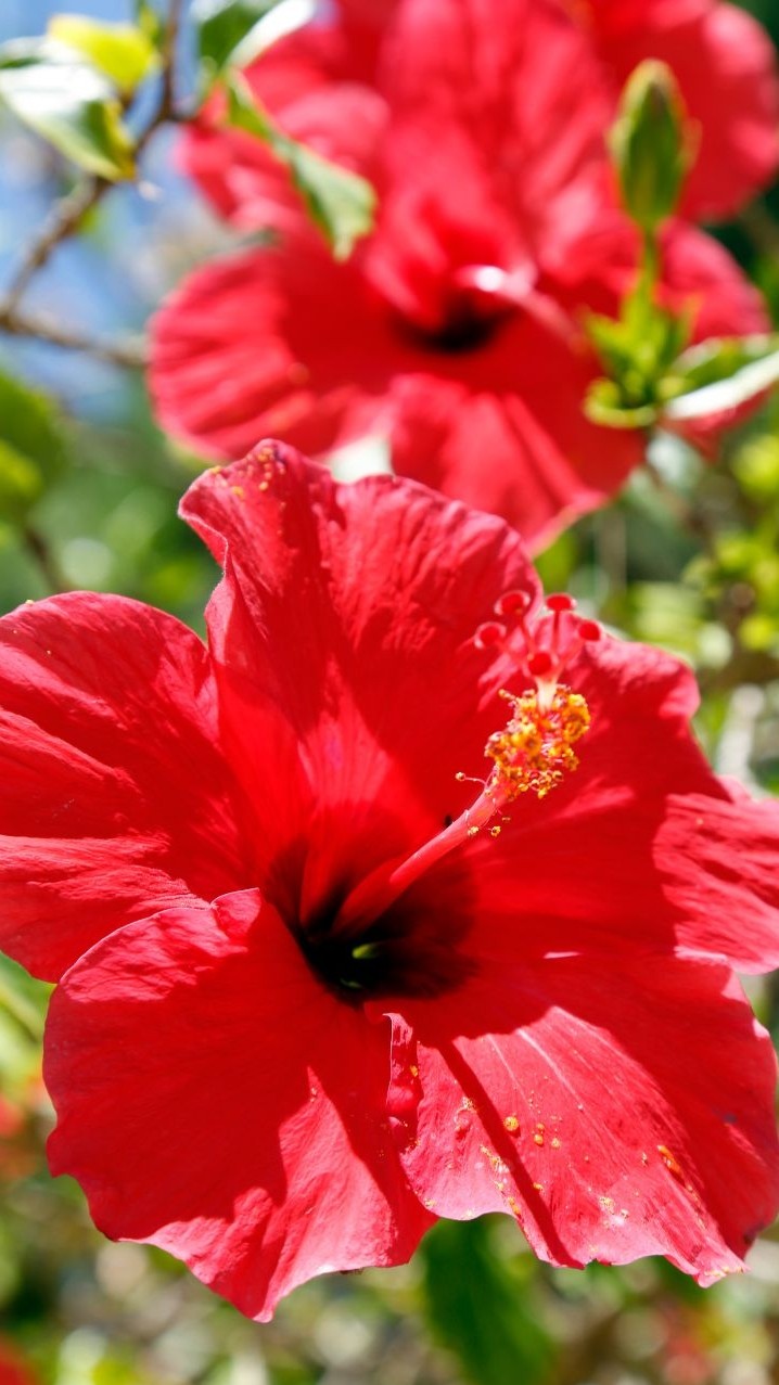 🏝️ リゾート民泊“立ち上げ実践室” 🐚