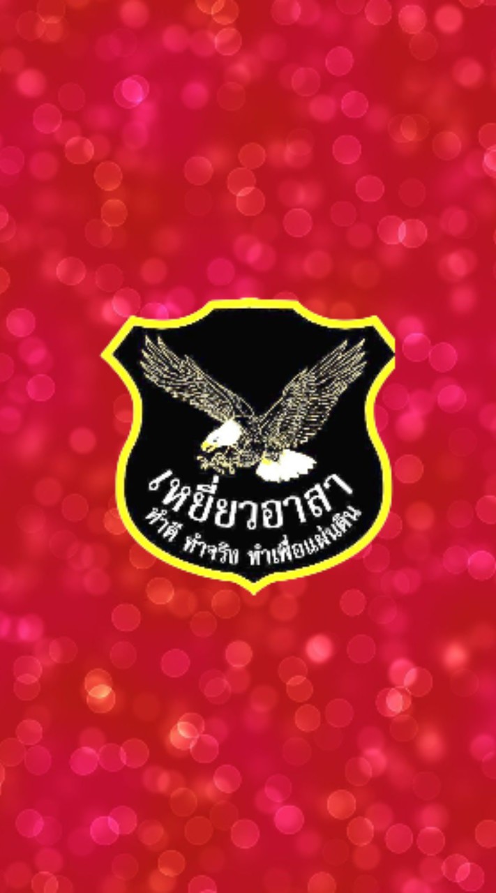 เหยี่ยวปฎิบัติงาน