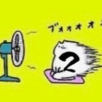 ❣️女性限定❣️50代&60代隙間時間の雑談をご一緒に🌹