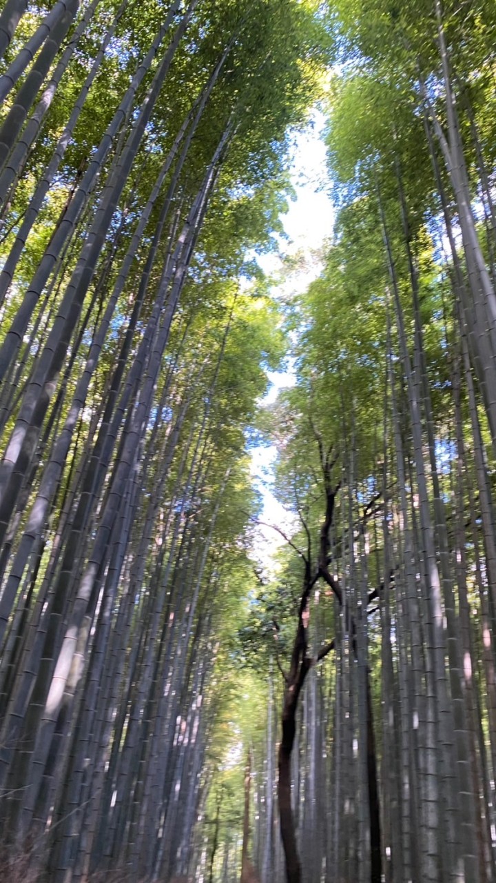 🐼🐾🌼*介護する方の休憩広場🌼.🐼🐾