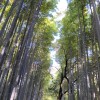 🐼🐾🌼*介護する方の休憩広場🌼.🐼🐾