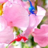 🍄ピクミン散歩と雑談🍀30以上女性限定👸🏻メンタル不調を乗り越えよう✨