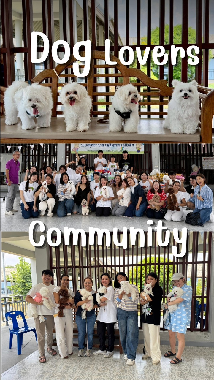 Dog Lovers Community